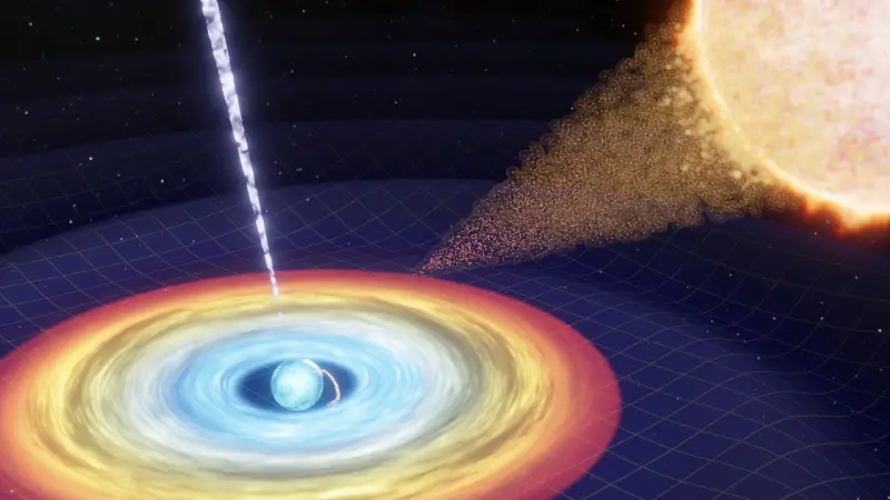 Unveiling the Universe's Grand Design: The Significance of Neutron Stars